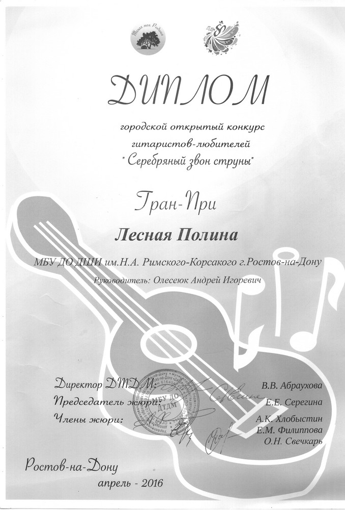 Диплом 17